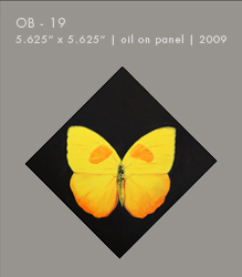 OB - 19 | Oil on Panel | 5.625" x 5.625"