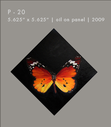 P - 20 | Oil on Panel | 5.625" x 5.625"