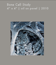 Bone Cell Study | Oil on Panel | 4" x 4"