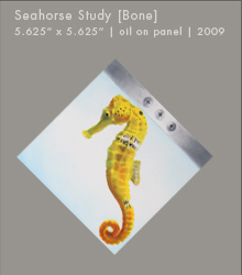 Seahorse Study [Bone] | Oil on Panel | 5.625" x 5.625"